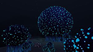 Koosh Bush (2).jpg
