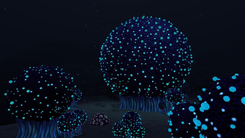 File:Koosh Bush (2).jpg