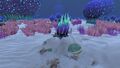 A variety of flora, along with some corals