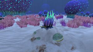 Koosh Zone (4).jpg