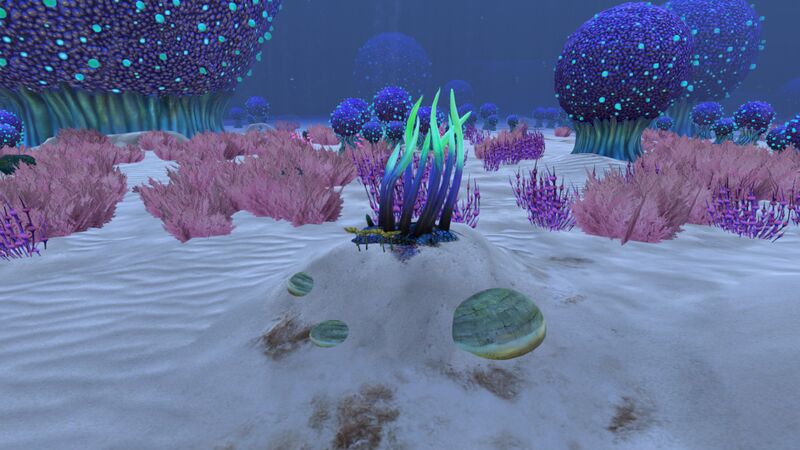 File:Koosh Zone (4).jpg