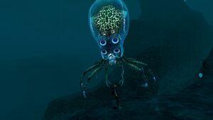 SizerefCrabsquid.jpg