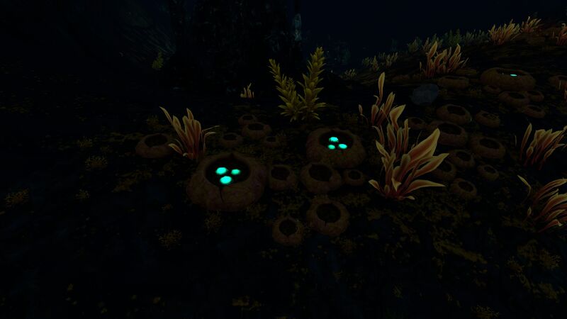 File:ThermalZoneBarnacle2.jpg