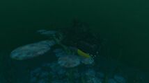 Mountains Wreck 1