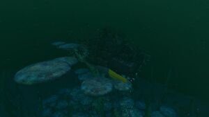 Wrecks (5).jpg
