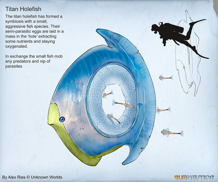 File:Alex-ries-alex-titanholefishb.jpg