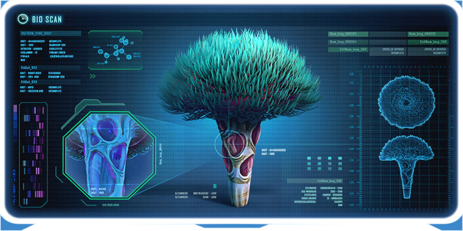 Blue Fur Plant Ency.png