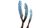 Gabe's Feather Flora.png
