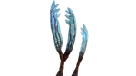 Gabe's Feather Flora.png