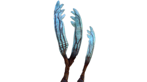 Gabe's Feather Flora.png