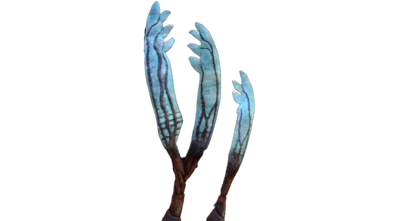 File:Gabe's Feather Flora.png