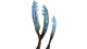 Gabe's Feather Flora.png