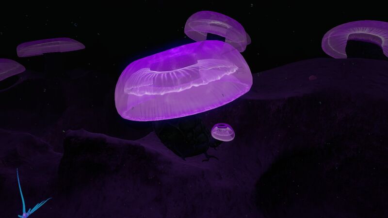 File:JellyShroom01.jpg