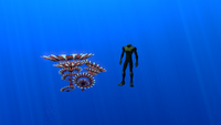 Size comparison with the player