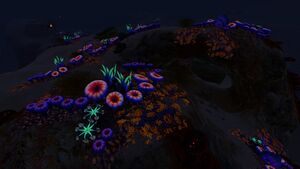 Safe Shallows (26).jpg