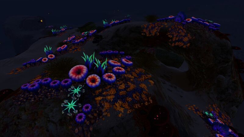 File:Safe Shallows (26).jpg