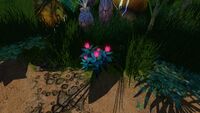 A Voxel Shrub on the Floating Island