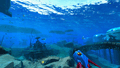 Thumbnail for version as of 08:39, 7 August 2021