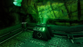 The cache's data terminal