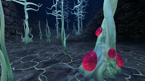Blood Kelp Zone (1).jpg