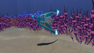 Boomerang Bulb Zone.png