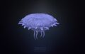 Highpoly model from Sketchfab