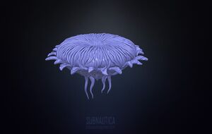 BrineLilyModel.jpeg