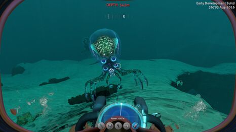 Crabsquid Shot.jpg