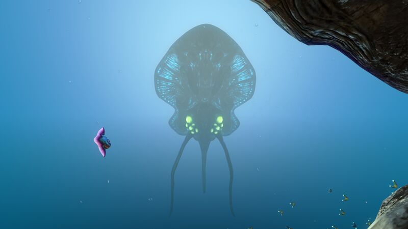 File:Reefback (3).jpg