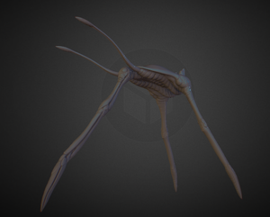 Sea treader.png