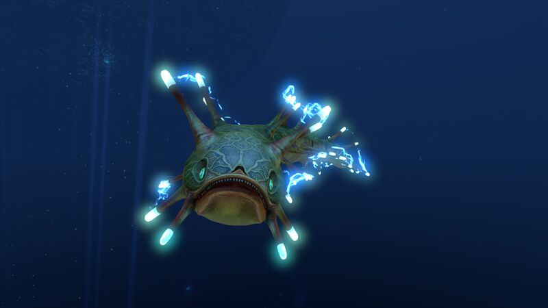 File:Shockerswim.jpg