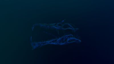 20160414160343 1.jpg