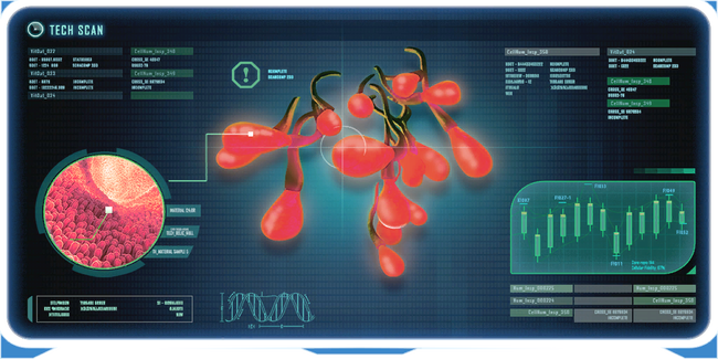 Arctic Kelp Seeds Ency.png