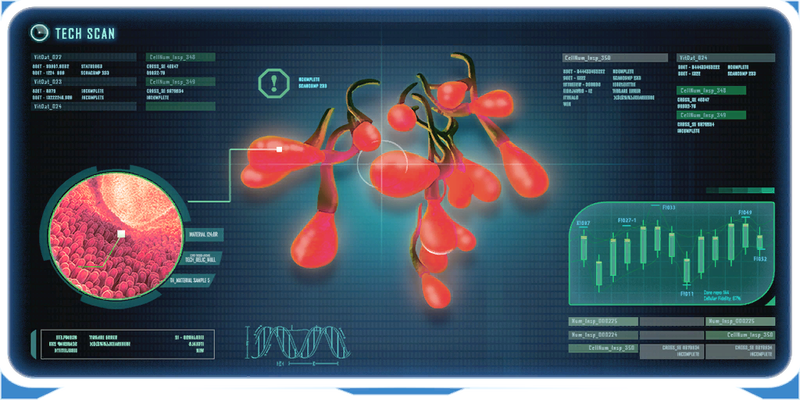File:Arctic Kelp Seeds Ency.png
