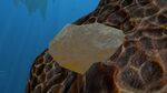 Basalt1.jpg