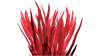Bloodgrass Flora.png
