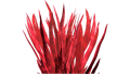 Thumbnail for version as of 18:08, 18 October 2015