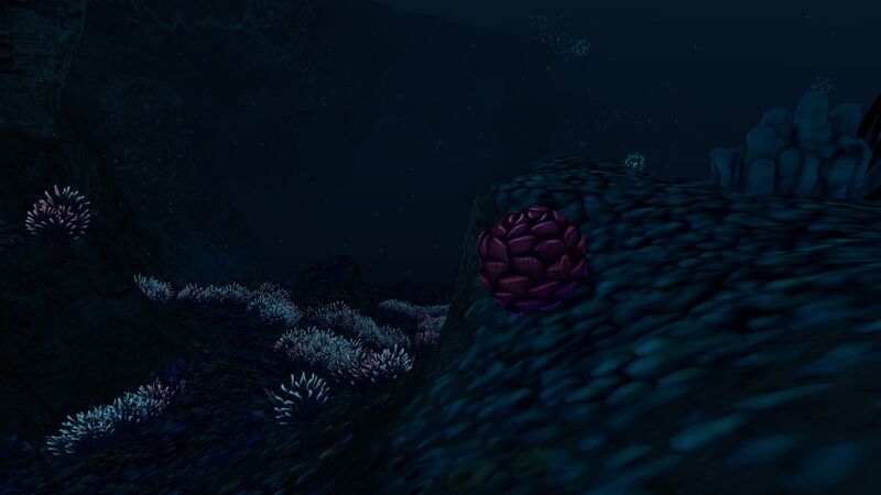 File:Deep Grand Reef (43).jpg