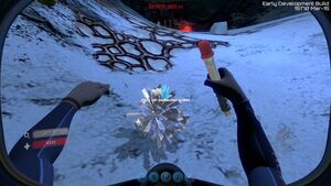 Dimond in baresalt stone koosh caves.jpg