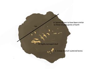 Fossil Mess 1.jpg