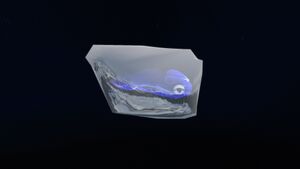 FrozenSeaMonkeyBaby.jpg