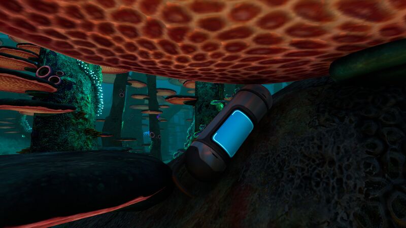 File:MushroomForestCapsule.jpg