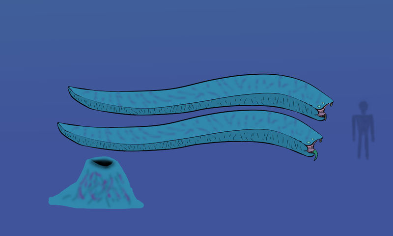 File:Reefsnake.png