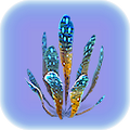 Thumbnail for version as of 18:44, 24 April 2019