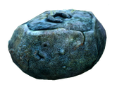 Unused Reefback Coral.png