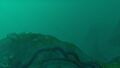 Thumbnail for version as of 14:10, 6 August 2021