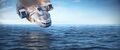 Thumbnail for version as of 14:32, 6 August 2021