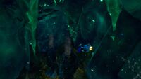 An overview of the caves