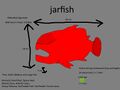 Jarfish Concept "peixesjarra"
