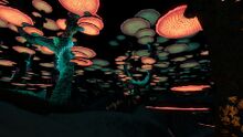 MushroomForest2.jpg